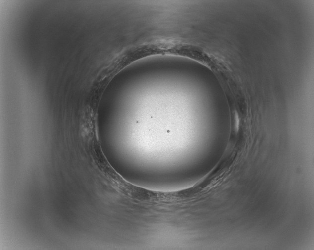 X0000067931349200604131412