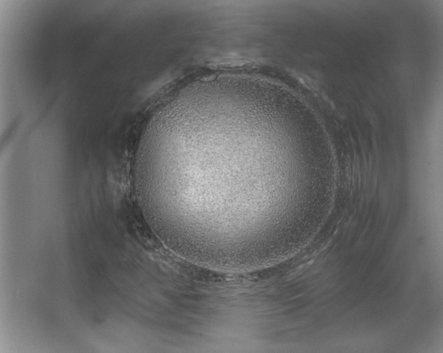 X0000067931350200604131412
