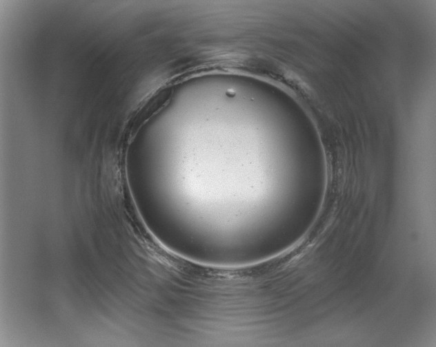 X0000067931354200604131412