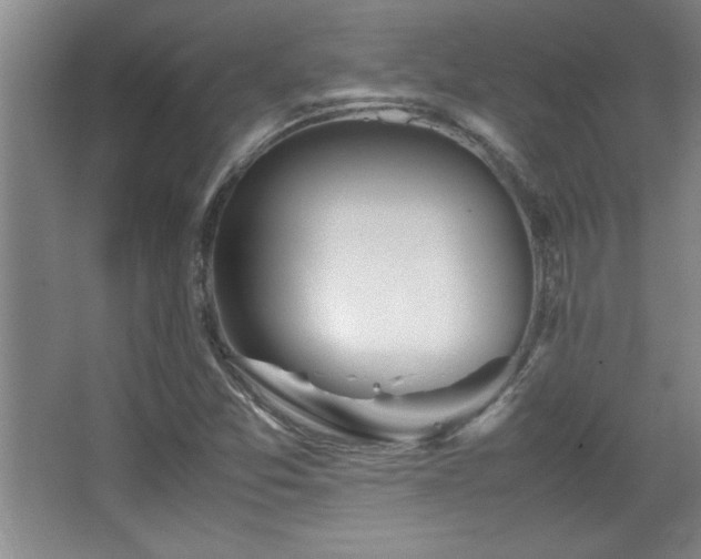 X0000067931357200604131412