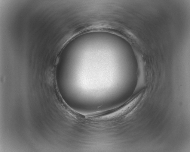 X0000067931361200604131412