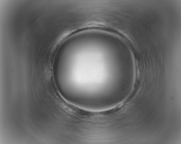 X0000067931363200604131412