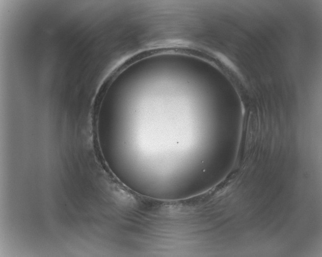 X0000067931364200604131412