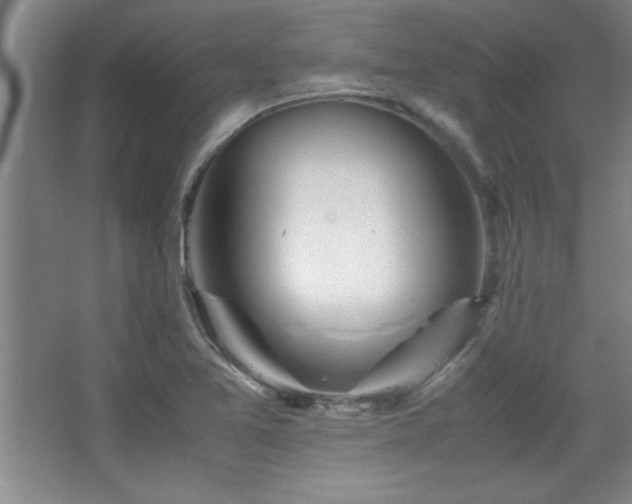 X0000067931365200604131412