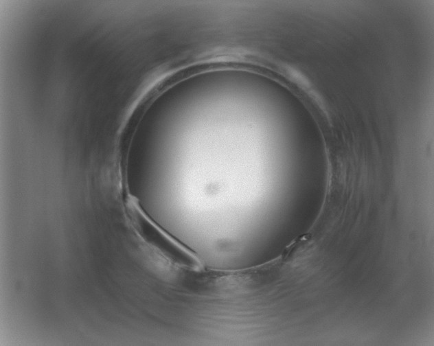 X0000067931368200604131411