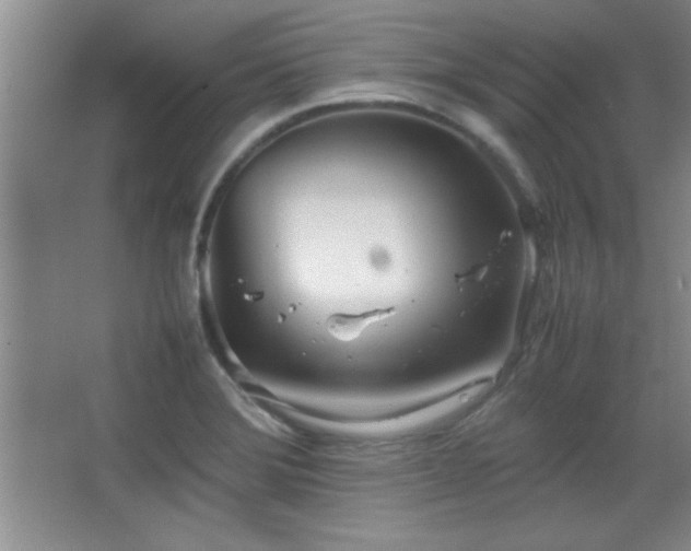 X0000067931372200604131411