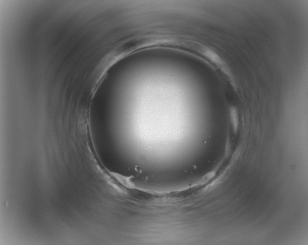 X0000067931377200604131411