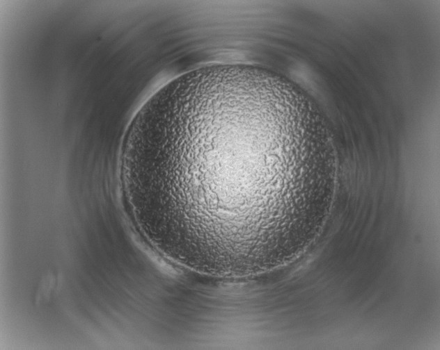 X0000067931378200604131411