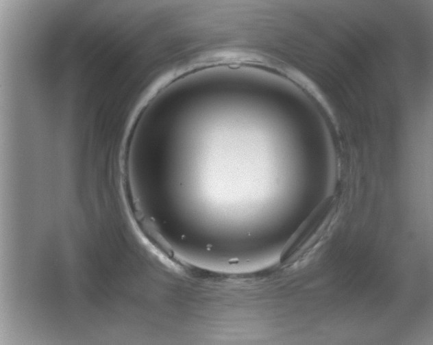 X0000067931381200604131411