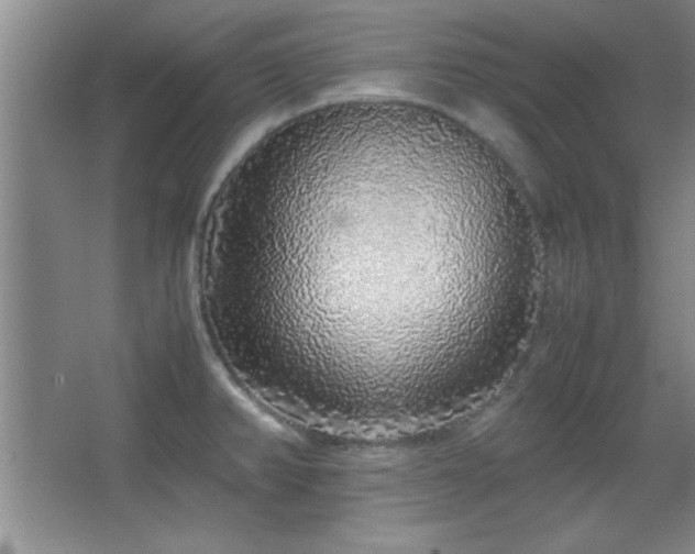 X0000067931382200604131411