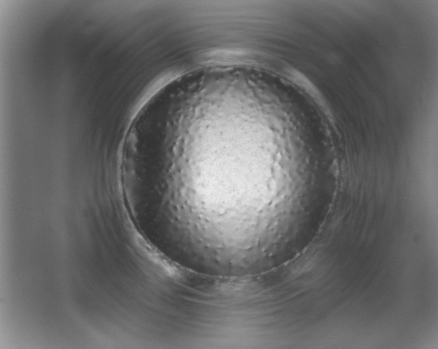 X0000067931386200604131411