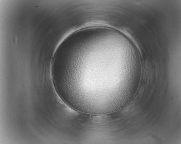 X0000067931390200604131411