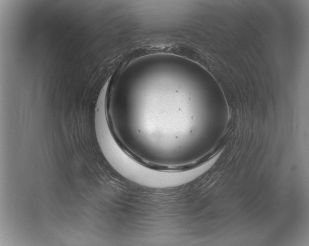 X0000067931394200604131410