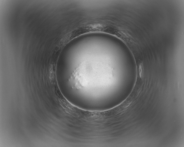 X0000067931395200604131410