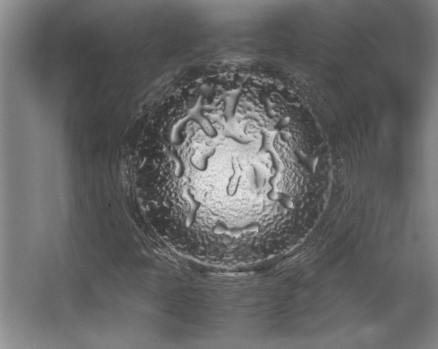 X0000067931397200604131410
