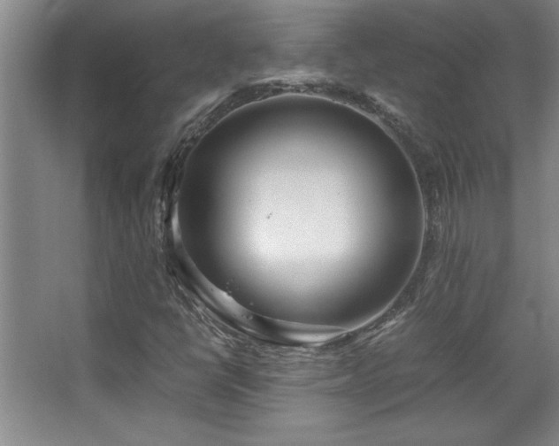 X0000067931398200604131410