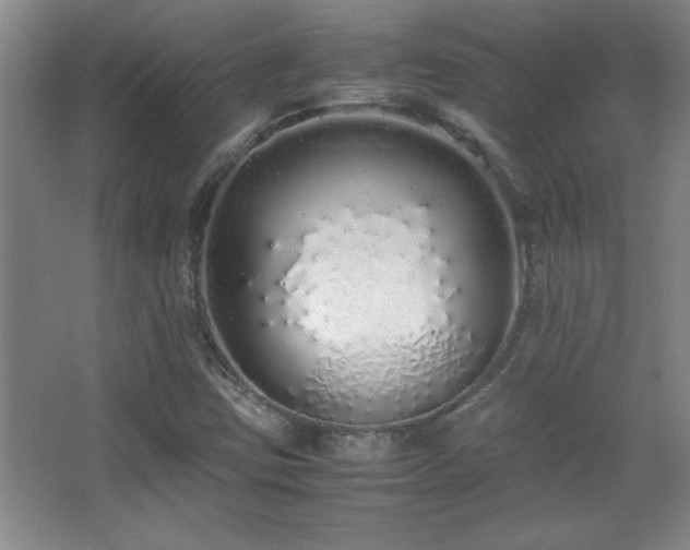 X0000067931403200604131410