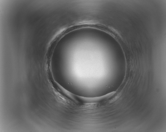 X0000067931406200604131410