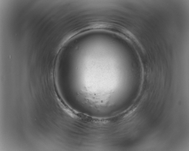 X0000067931417200604131411
