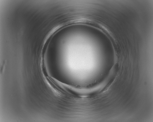 X0000067931418200604131411