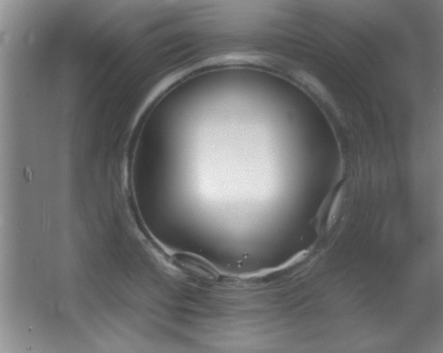 X0000067931420200604131411