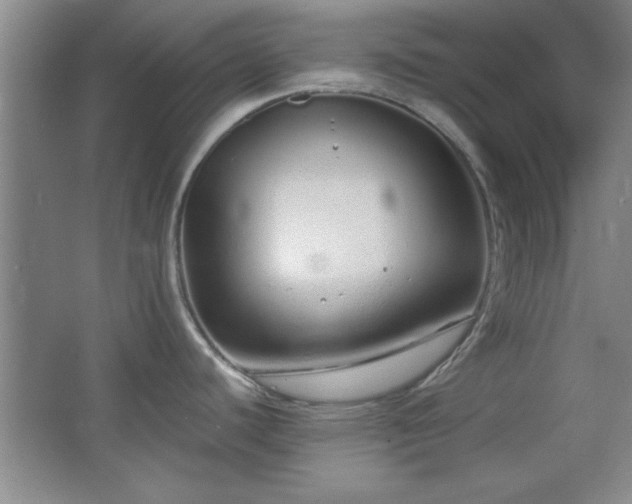 X0000067931440200604131411