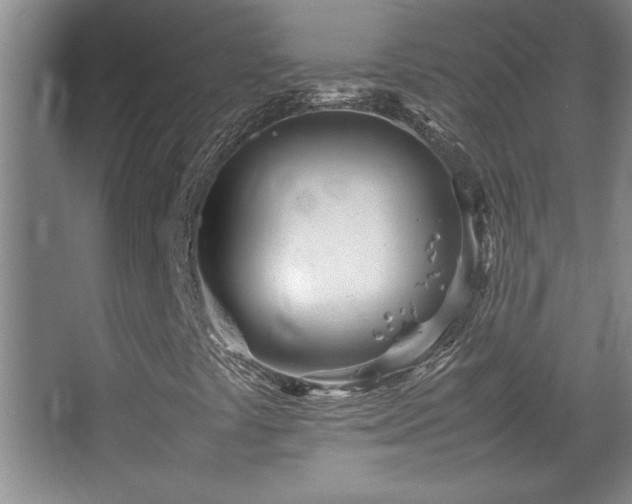 X0000067931441200604131410
