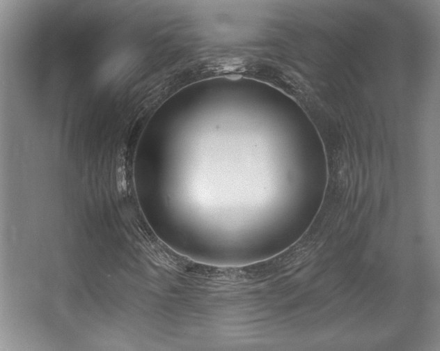 X0000067931442200604131410