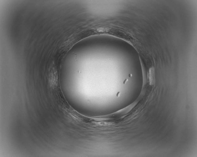 X0000067931443200604131410