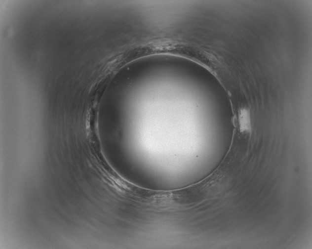 X0000067931444200604131410