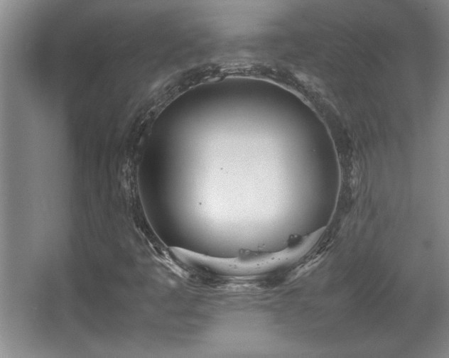 X0000067931445200604131410