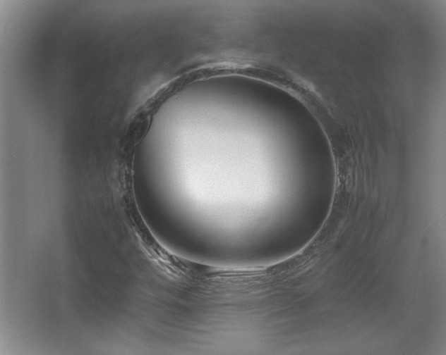 X0000067931448200604131410