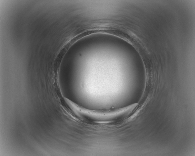 X0000067931449200604131410