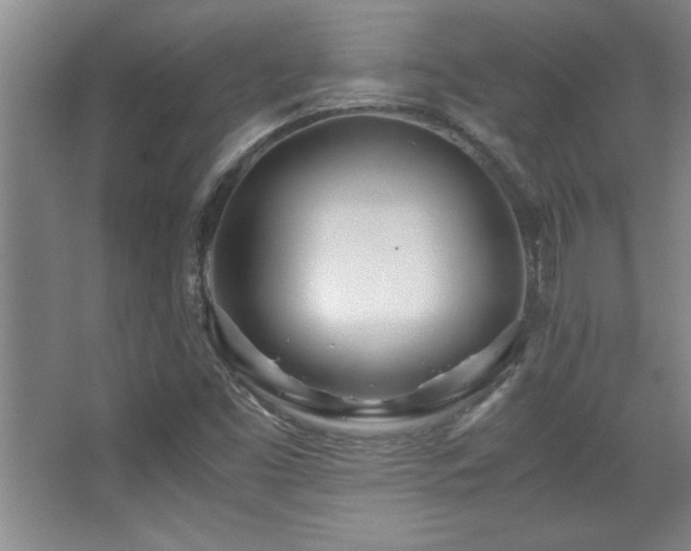 X0000067931453200604131410