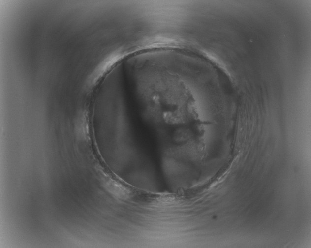 X0000067931455200604131410