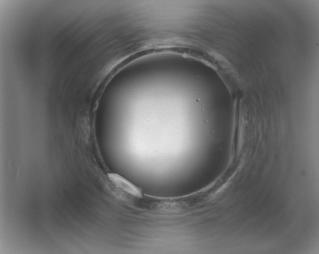 X0000067931457200604131410