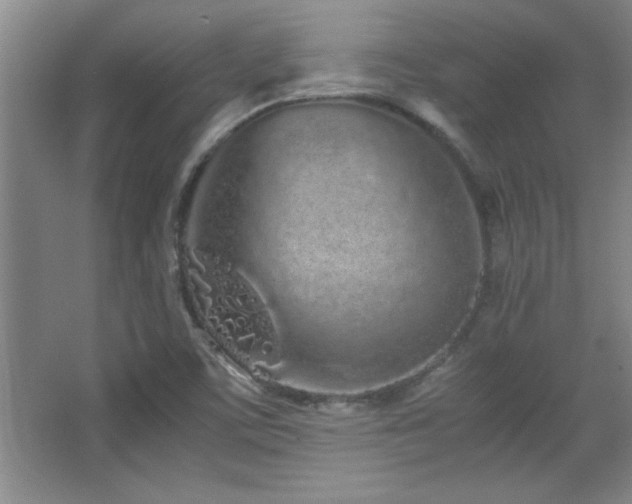X0000067931459200604131410