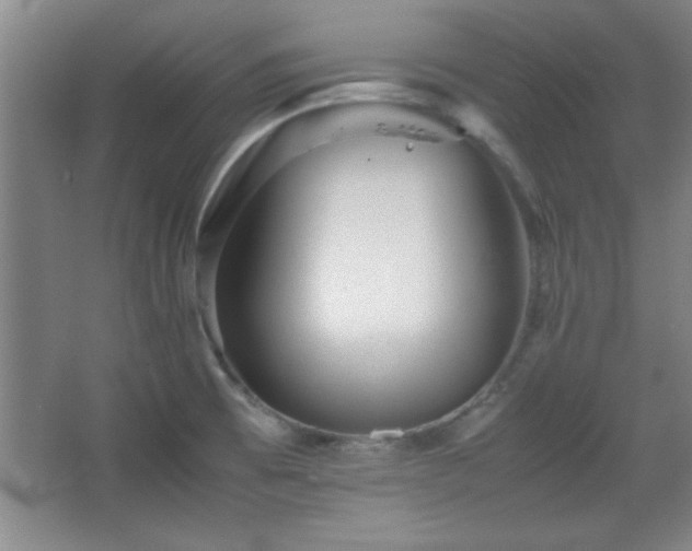 X0000067931473200604131410