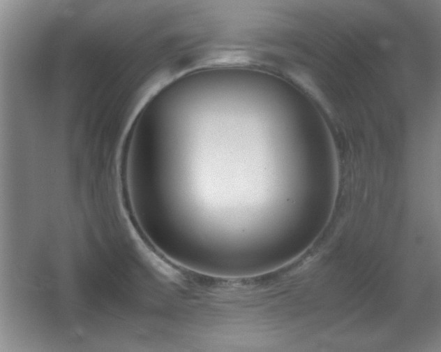 X0000067931475200604131410