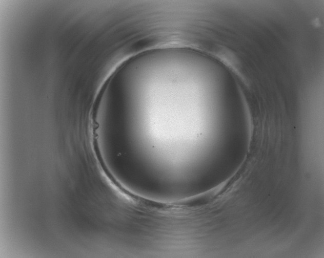 X0000067931476200604131410