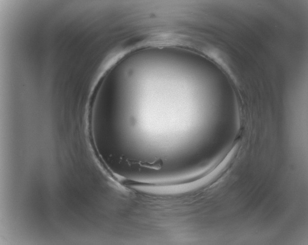 X0000067931477200604131410