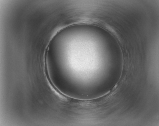 X0000067931479200604131410