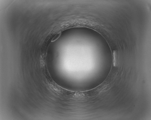 X0000067931491200604131409