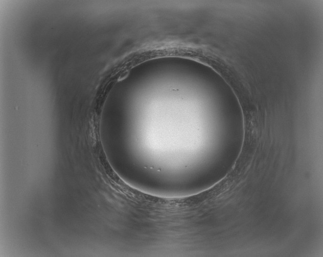 X0000067931493200604131409