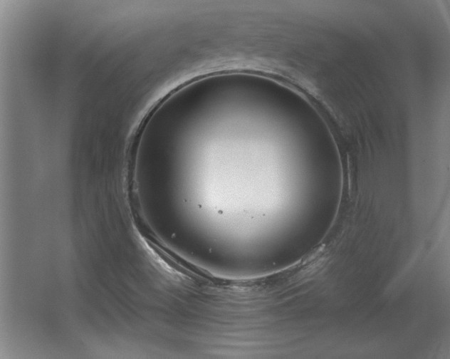 X0000067931500200604131409