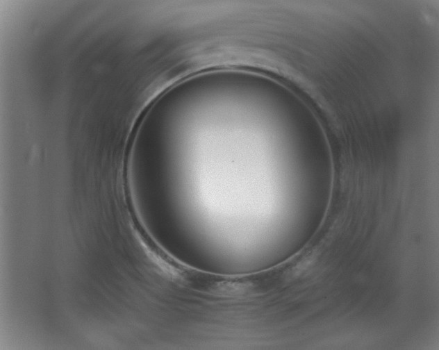 X0000067931513200604131409