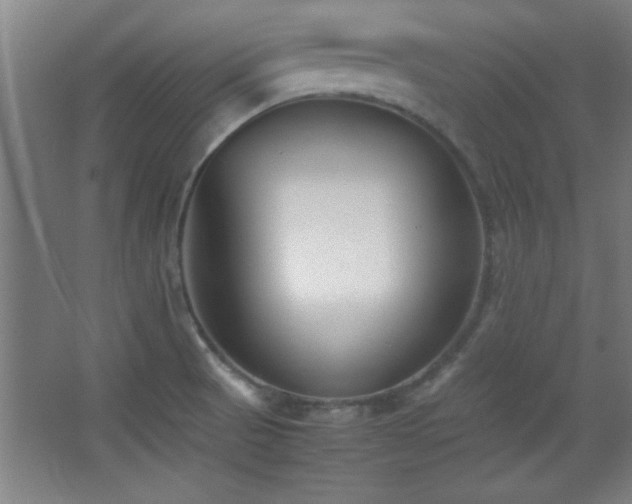 X0000067931521200604131409