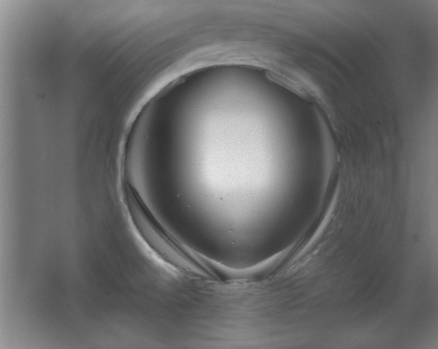 X0000067931528200604131409