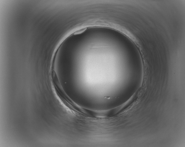 X0000067931536200604131409