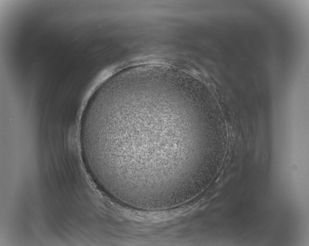 X0000067930006200604171447